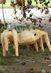 PETITE FANTAISIE SANS PRÉTENTION