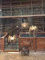 expo 2019-amis des arts VERDUN