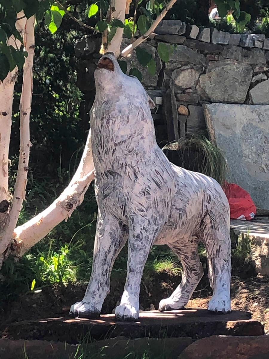 Loup grandeur nature en chêne massif  
