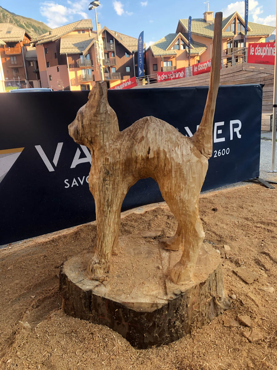 Un nouveau chat fou furieux