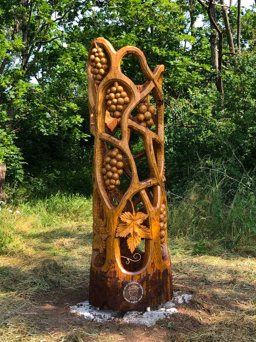 La vigne et les salamandres